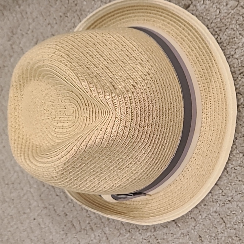 Fedora hat